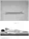 Fig. 08 - A GEL AND CUSHIONING MATERIAL BASED ON THERMOPLASTIC ELASTOMERS AND METHOD OF MAKING THEREOF