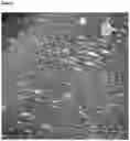 Fig. 04 - METHOD FOR PRODUCING A POLYCARBONATE MOULDING COMPOUND
