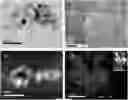 Fig. 01 - IMPROVEMENTS RELATING TO SUPERHYDROPHOBIC SURFACES