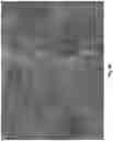Fig. 07 - IMPROVEMENTS RELATING TO SUPERHYDROPHOBIC SURFACES