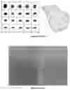 Fig. 03 - REFLECTIVE AND TEXTURED FINISH COMPOSITION AND THE METHODS OF MAKING AND USING THE SAME