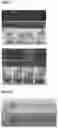 Fig. 07 - Curable ink composition