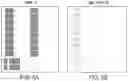 Fig. 07 - INKJET OVERCOAT COMPOSITION