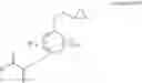 Fig. 20 - OXIRANE-FUNCTIONAL VINYL MONOMERS AND METHODS FOR MAKING THE SAME