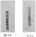 Fig. 08 - Method for Ablating a Label With a Laser