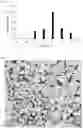Fig. 08 - Permeability-enhancing flooding system for tight oil reservoirs, and preparation and use thereof