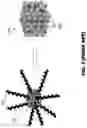 Fig. 04 - Bipolar shell resurfaced perovskite quantum dots