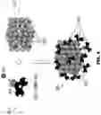 Fig. 05 - Bipolar shell resurfaced perovskite quantum dots