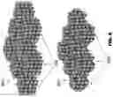 Fig. 07 - Bipolar shell resurfaced perovskite quantum dots
