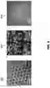 Fig. 09 - Bipolar shell resurfaced perovskite quantum dots