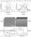Fig. 05 - Quantum dots and processes for preparation thereof