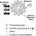 Fig. 01 - POLYMERIC ORGANIC NANOPARTICLES WITH ENHANCED EMISSION