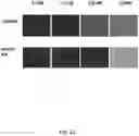 Fig. 18 - POLYMERIC ORGANIC NANOPARTICLES WITH ENHANCED EMISSION