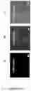 Fig. 21 - POLYMERIC ORGANIC NANOPARTICLES WITH ENHANCED EMISSION