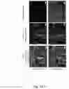 Fig. 22 - POLYMERIC ORGANIC NANOPARTICLES WITH ENHANCED EMISSION