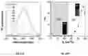 Fig. 15 - FLUORESCENT COMPOUNDS AND APPLICATION THEREOF