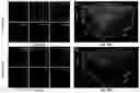 Fig. 18 - FLUORESCENT COMPOUNDS AND APPLICATION THEREOF