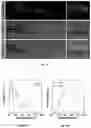 Fig. 19 - FLUORESCENT COMPOUNDS AND APPLICATION THEREOF