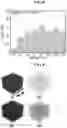 Fig. 06 - Perovskite color converter and method of manufacturing the same