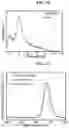Fig. 07 - Perovskite color converter and method of manufacturing the same