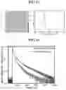 Fig. 09 - Perovskite color converter and method of manufacturing the same