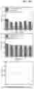 Fig. 12 - Perovskite color converter and method of manufacturing the same