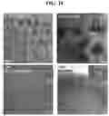 Fig. 16 - Perovskite color converter and method of manufacturing the same