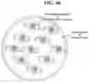 Fig. 28 - Perovskite color converter and method of manufacturing the same
