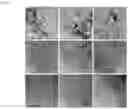 Fig. 16 - Additive for liquid fuels, fuel compositions based on the additive, and methods of manufacture