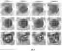 Fig. 03 - FUEL ADDITIVES FOR MITIGATING INJECTOR NOZZLE FOULING AND REDUCING PARTICULATE EMISSIONS