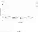 Fig. 17 - FUEL ADDITIVES FOR MITIGATING INJECTOR NOZZLE FOULING AND REDUCING PARTICULATE EMISSIONS