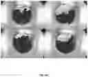 Fig. 23 - FUEL ADDITIVES FOR MITIGATING INJECTOR NOZZLE FOULING AND REDUCING PARTICULATE EMISSIONS
