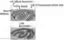 Fig. 01 - LARGE SCALE CELL MANUFACTURE SYSTEM