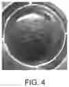 Fig. 04 - LARGE SCALE CELL MANUFACTURE SYSTEM