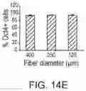 Fig. 26 - LARGE SCALE CELL MANUFACTURE SYSTEM