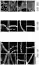 Fig. 27 - LARGE SCALE CELL MANUFACTURE SYSTEM