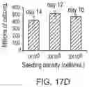 Fig. 34 - LARGE SCALE CELL MANUFACTURE SYSTEM