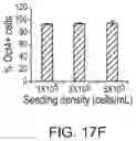 Fig. 36 - LARGE SCALE CELL MANUFACTURE SYSTEM
