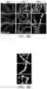 Fig. 40 - LARGE SCALE CELL MANUFACTURE SYSTEM