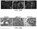 Fig. 44 - LARGE SCALE CELL MANUFACTURE SYSTEM