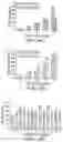 Fig. 53 - LARGE SCALE CELL MANUFACTURE SYSTEM