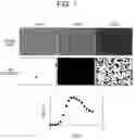 Fig. 02 - Testing apparatus and testing method