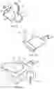 Fig. 07 - Closed Tissue Disaggregation and Cryopreservation