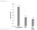 Fig. 05 - STORAGE LIQUID FOR MAMMALIAN CELLS