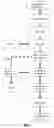 Fig. 02 - OPTIMIZED METHOD FOR INDUSTRIAL EXPLOITATION OF UNICELLULAR RED ALGAE