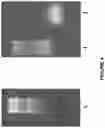 Fig. 05 - Carbo-ionic cultures and extracts and applications thereof