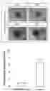 Fig. 04 - METHOD FOR PRODUCING CELL SPHEROIDS