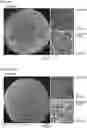 Fig. 01 - EXTRACELLULAR MATRIX-CONTAINING COMPOSITION AND METHOD FOR PRODUCING SAME, AND THREE-DIMENSIONAL TISSUE CONSTRUCT AND METHOD FOR PRODUCING SAME