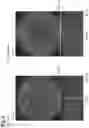 Fig. 04 - EXTRACELLULAR MATRIX-CONTAINING COMPOSITION AND METHOD FOR PRODUCING SAME, AND THREE-DIMENSIONAL TISSUE CONSTRUCT AND METHOD FOR PRODUCING SAME