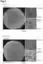 Fig. 06 - EXTRACELLULAR MATRIX-CONTAINING COMPOSITION AND METHOD FOR PRODUCING SAME, AND THREE-DIMENSIONAL TISSUE CONSTRUCT AND METHOD FOR PRODUCING SAME